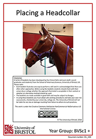 Clinical skills instruction booklet cover page, Placing a Headcollar